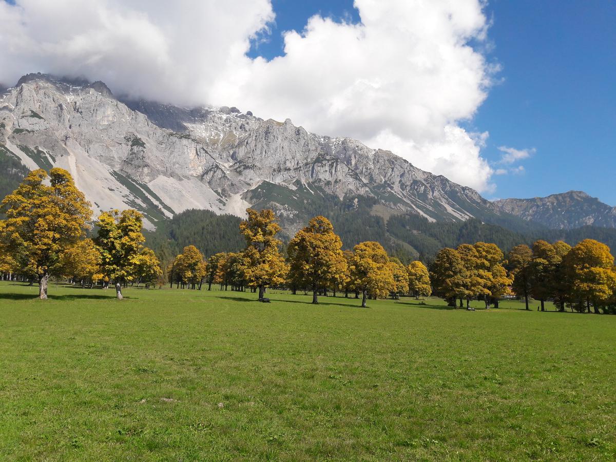 Appartement "Haus Lisa" In Ramsau Am Dachstein Zewnętrze zdjęcie